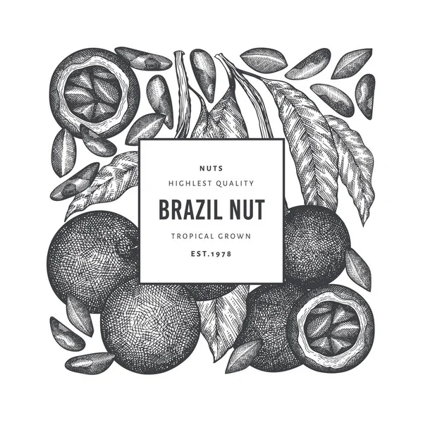 Branco Noce Brasiliano Disegnato Mano Modello Design Dei Kernel Illustrazione — Vettoriale Stock