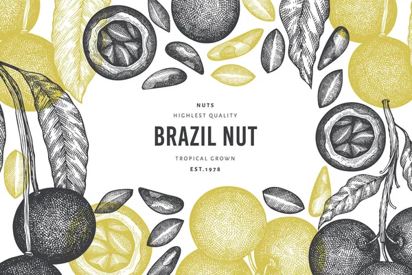Branco Noce Brasiliano Disegnato Mano Modello Design Dei Kernel Illustrazione — Vettoriale Stock