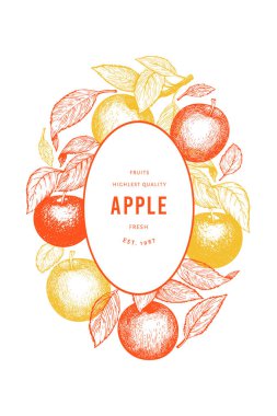 Apple şube tasarım şablonu. El çizimi vektör bahçesi meyve çizimi. İşlenmiş stil meyve retro botanik afişi.