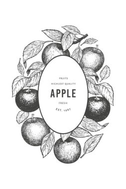Apple şube tasarım şablonu. El çizimi vektör bahçesi meyve çizimi. İşlenmiş stil meyve retro botanik afişi.