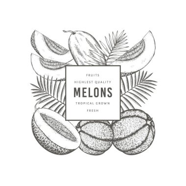 Tropikal yapraklı kavunlar dizayn şablonu. Elle çizilmiş egzotik meyve çizimi. Retro tarzı meyve pankartı. 