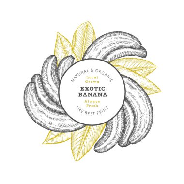 Elle çizilmiş muz pankartı. Organik taze meyve vektörü çizimi. Retro egzotik meyve tasarım şablonu