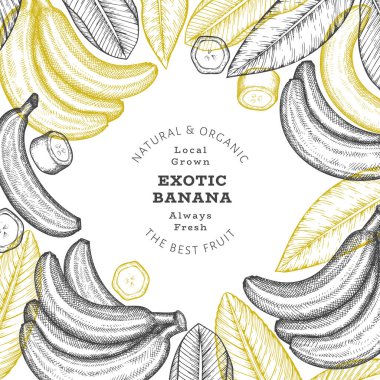 Elle çizilmiş muz pankartı. Organik taze meyve vektörü çizimi. Retro egzotik meyve tasarım şablonu