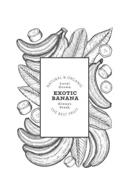 Elle çizilmiş muz pankartı. Organik taze meyve vektörü çizimi. Retro egzotik meyve tasarım şablonu
