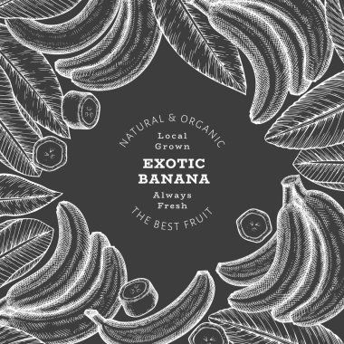 Elle çizilmiş muz pankartı. Tebeşir tahtasında organik taze meyve vektör çizimi. Retro egzotik meyve tasarım şablonu
