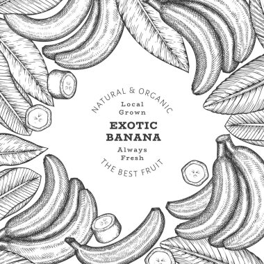 Elle çizilmiş muz pankartı. Organik taze meyve vektörü çizimi. Retro egzotik meyve tasarım şablonu
