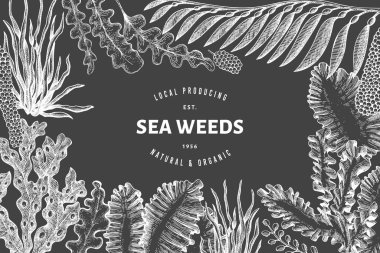 Deniz yosunu tasarım şablonu. El çizimi vektör yosunlarını tebeşirle çiziyor. Retro tarzı deniz ürünleri afişi. Eski deniz bitkileri arka planı