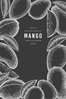 El çizimi mango afişi. Tebeşir tahtasında organik taze meyve vektör çizimi. Retro mango meyve tasarım şablonu