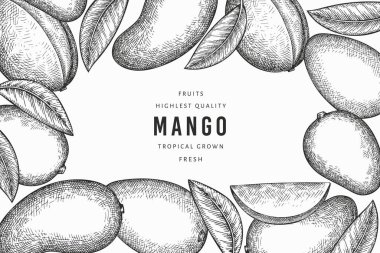 El çizimi mango afişi. Organik taze meyve vektörü çizimi. Retro mango meyve tasarım şablonu