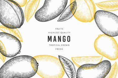 El çizimi mango afişi. Organik taze meyve vektörü çizimi. Retro mango meyve tasarım şablonu