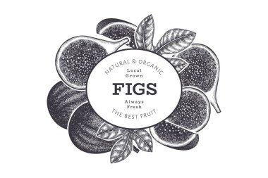 El çizimi incir meyvesi tasarım şablonu. Organik taze gıda vektör çizimi. Retro incir meyve pankartı.