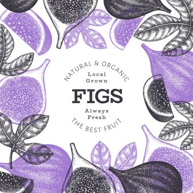 El çizimi incir meyvesi tasarım şablonu. Organik taze gıda vektör çizimi. Retro incir meyve pankartı.