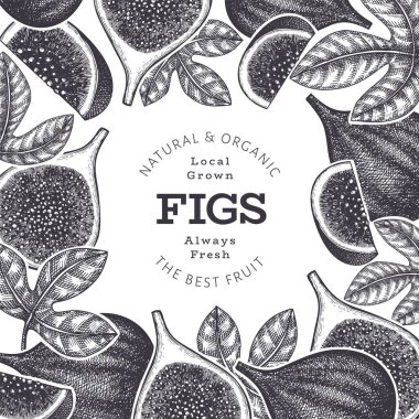 El çizimi incir meyvesi tasarım şablonu. Organik taze gıda vektör çizimi. Retro incir meyve pankartı.