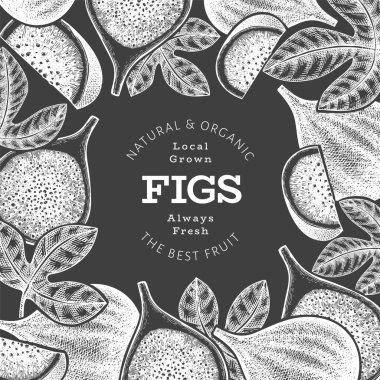 El çizimi incir meyvesi tasarım şablonu. Tebeşir tahtasında organik taze gıda vektör çizimi. Retro incir meyve pankartı.