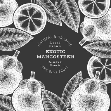 El çizimi mangosteen tasarım şablonu. Tebeşir tahtasında organik taze gıda vektör çizimi. Retro meyve pankartı.