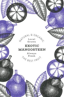 El çizimi mangosteen tasarım şablonu. Beyaz arka planda organik taze gıda vektör çizimi. Retro meyve pankartı.