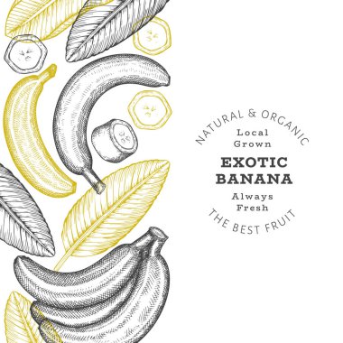 Elle çizilmiş muz pankartı. Organik taze meyve vektörü çizimi. Retro egzotik meyve tasarım şablonu