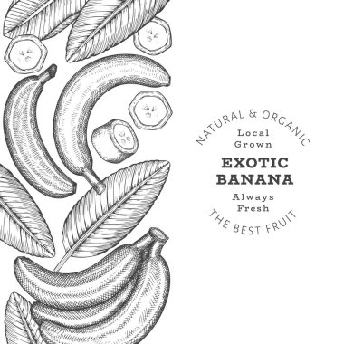 Elle çizilmiş muz pankartı. Organik taze meyve vektörü çizimi. Retro egzotik meyve tasarım şablonu