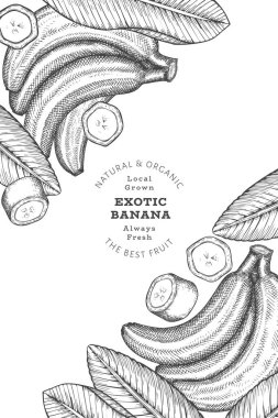 Elle çizilmiş muz pankartı. Organik taze meyve vektörü çizimi. Retro egzotik meyve tasarım şablonu