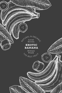 Elle çizilmiş muz pankartı. Tebeşir tahtasında organik taze meyve vektör çizimi. Retro egzotik meyve tasarım şablonu
