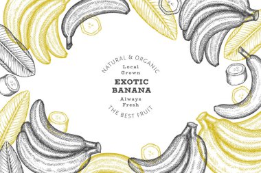 Elle çizilmiş muz pankartı. Organik taze meyve vektörü çizimi. Retro egzotik meyve tasarım şablonu