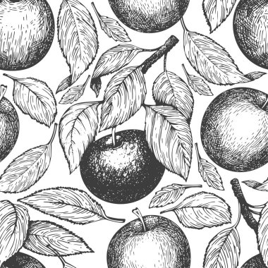 Elma dalı kusursuz desen. El çizimi vektör bahçesi meyve çizimi. İşlenmiş stil meyve retro botanik afişi.