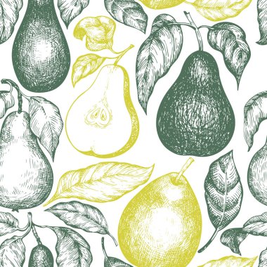 Armutsuz desen. El çizimi vektör bahçesi meyve çizimi. İşlenmiş stil bahçe retro botanik arka planı.