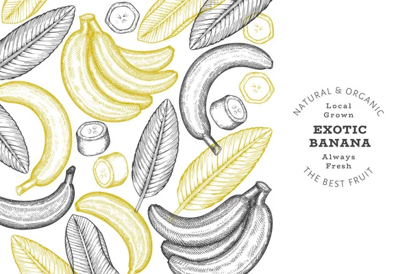 Elle çizilmiş muz pankartı. Organik taze meyve vektörü çizimi. Retro egzotik meyve tasarım şablonu