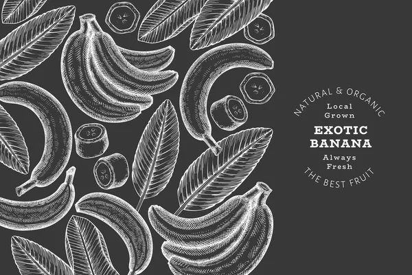 Elle çizilmiş muz pankartı. Tebeşir tahtasında organik taze meyve vektör çizimi. Retro egzotik meyve tasarım şablonu