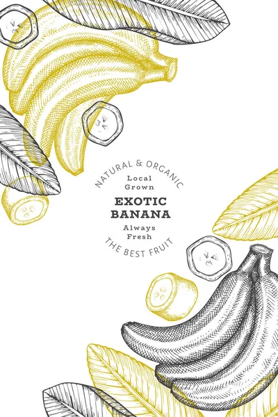 Elle çizilmiş muz pankartı. Organik taze meyve vektörü çizimi. Retro egzotik meyve tasarım şablonu