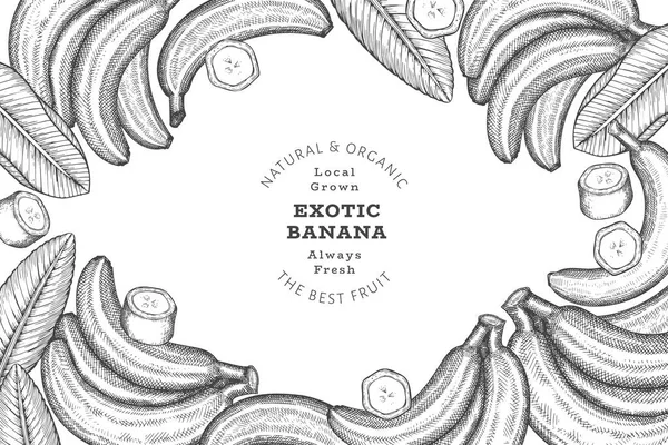 Elle çizilmiş muz pankartı. Organik taze meyve vektörü çizimi. Retro egzotik meyve tasarım şablonu