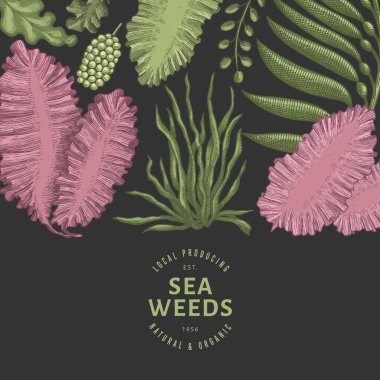 Yosun rengi tasarım şablonu. El çizimi vektör yosunları koyu arkaplanda çizimler yapar. İşlenmiş stil deniz ürünleri afişi. Retro deniz bitkileri arka planı