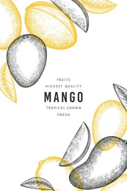 El çizimi mango afişi. Organik taze meyve vektörü çizimi. Retro mango meyve tasarım şablonu