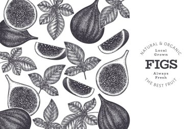 El çizimi incir meyvesi tasarım şablonu. Organik taze gıda vektör çizimi. Retro incir meyve pankartı.