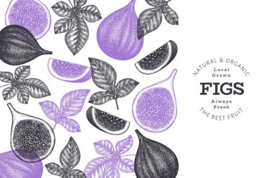 El çizimi incir meyvesi tasarım şablonu. Organik taze gıda vektör çizimi. Retro incir meyve pankartı.