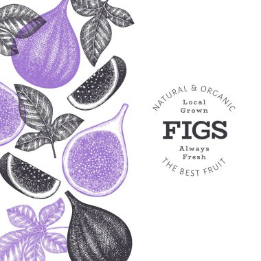 El çizimi incir meyvesi tasarım şablonu. Organik taze gıda vektör çizimi. Retro incir meyve pankartı.