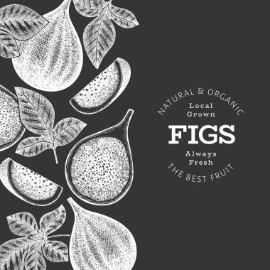 El çizimi incir meyvesi tasarım şablonu. Tebeşir tahtasında organik taze gıda vektör çizimi. Retro incir meyve pankartı.