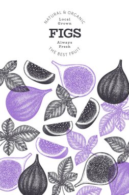 El çizimi incir meyvesi tasarım şablonu. Organik taze gıda vektör çizimi. Retro incir meyve pankartı.