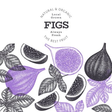 El çizimi incir meyvesi tasarım şablonu. Organik taze gıda vektör çizimi. Retro incir meyve pankartı.