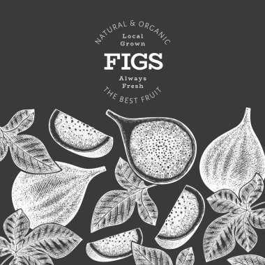 El çizimi incir meyvesi tasarım şablonu. Tebeşir tahtasında organik taze gıda vektör çizimi. Retro incir meyve pankartı.