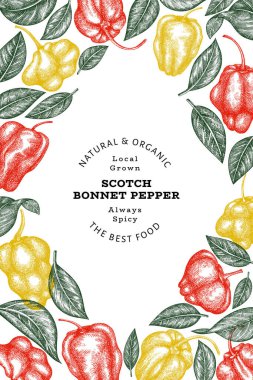 Elle çizilmiş taslak stili İskoç şapkası biber afişi. Organik taze sebze vektör çizimi. Retro cayenne biber tasarım şablonu