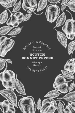 Elle çizilmiş taslak stili İskoç şapkası biber afişi. Tebeşir tahtasında organik taze sebze çizimi. Retro cayenne biber tasarım şablonu