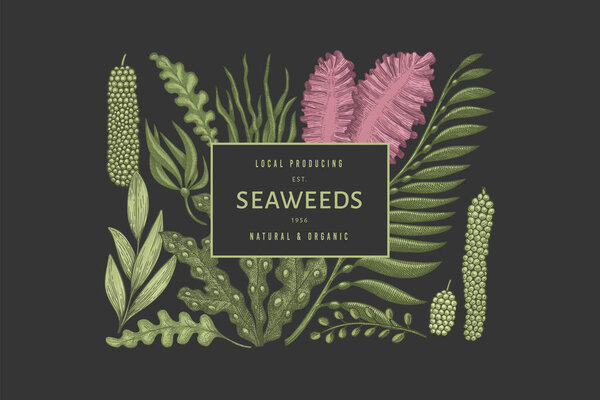 Шаблон цветового дизайна водорослей. Ручные рисунки векторных водорослей на темном фоне. Выгравированный баннер с морепродуктами. Ретро-морские растения