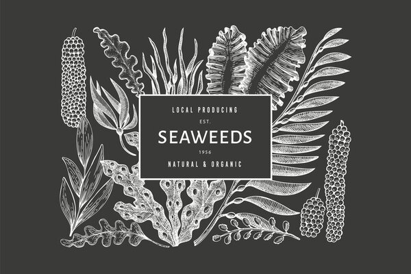 Шаблон дизайна водорослей. Ручной рисунок векторных водорослей на доске. Выгравированный баннер с морепродуктами. Винтажные морские растения фон