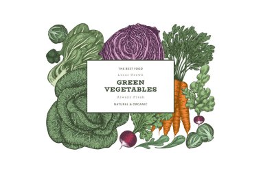 El yapımı renkli sebze tasarımı. Organik taze besin taşıyıcı afiş şablonu. Retro sebze arka planı. Geleneksel botanik çizimler.