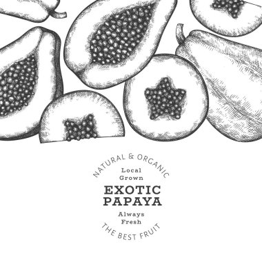El çizimi papaya afişi. Organik taze meyve vektörü çizimi. Retro meyve tasarım şablonu