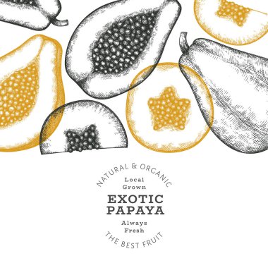 El çizimi papaya afişi. Organik taze meyve vektörü çizimi. Retro meyve tasarım şablonu