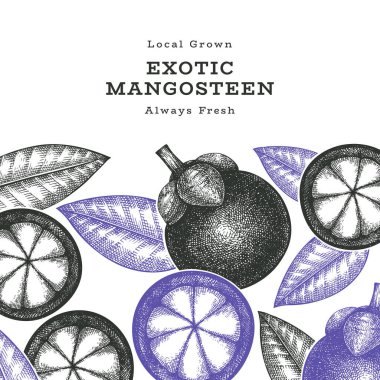 El çizimi mangosteen tasarım şablonu. Beyaz arka planda organik taze gıda vektör çizimi. Retro meyve pankartı.