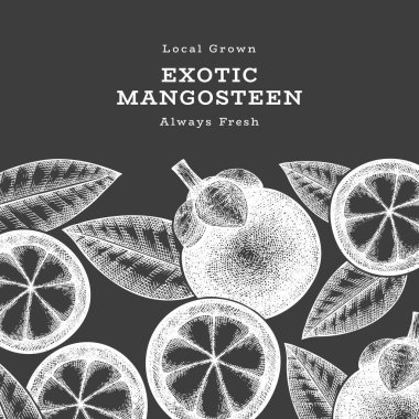 El çizimi mangosteen tasarım şablonu. Tebeşir tahtasında organik taze gıda vektör çizimi. Retro meyve pankartı.