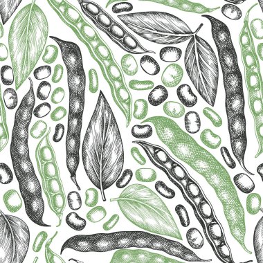 Elle çizilmiş geniş fasulye deseni. Organik taze gıda vektör çizimi. Retro podlar çizimi. Kabartmalı botanik tarzı tahıl arkaplanı.